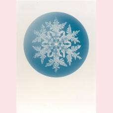 Stellar snowflake no.920